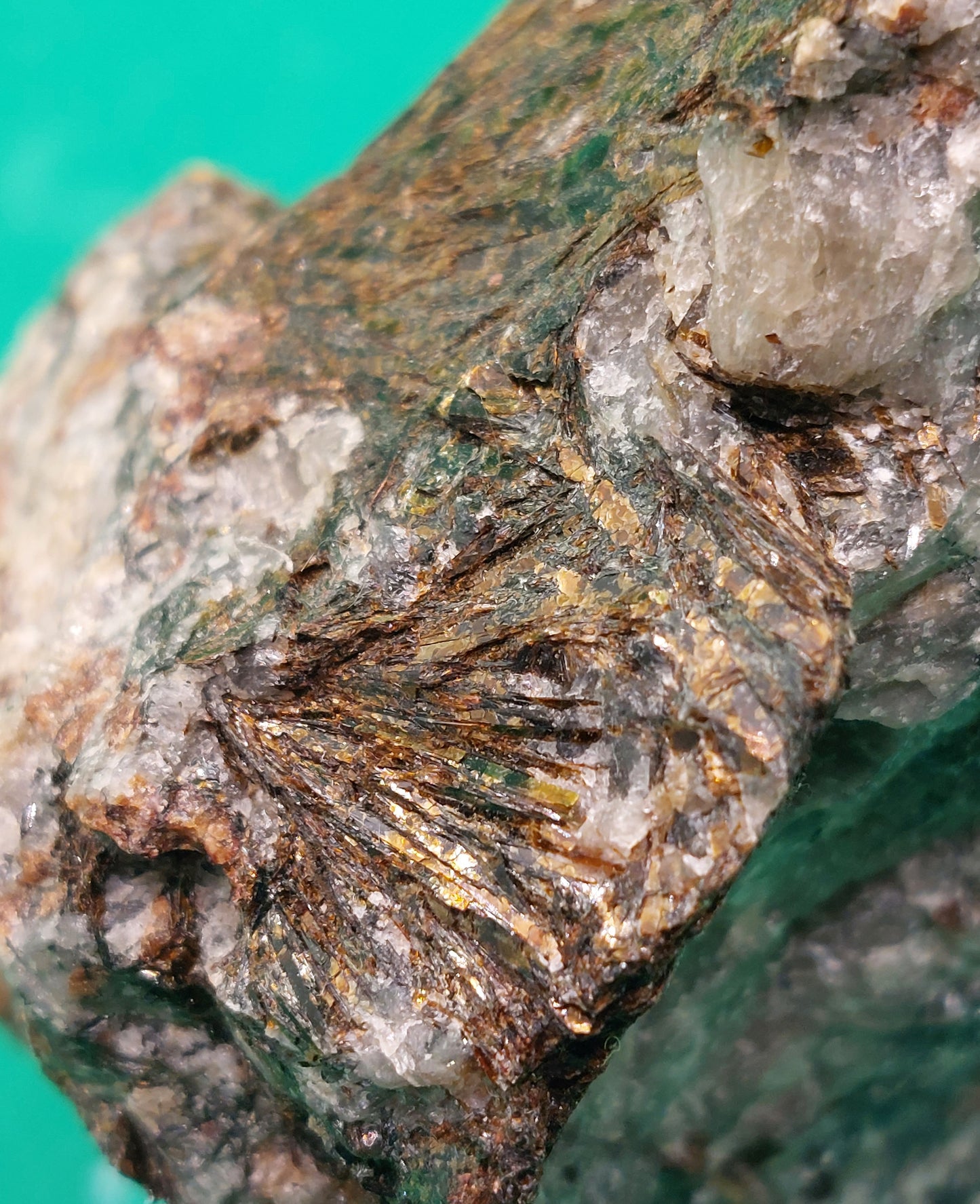 Astrophylite