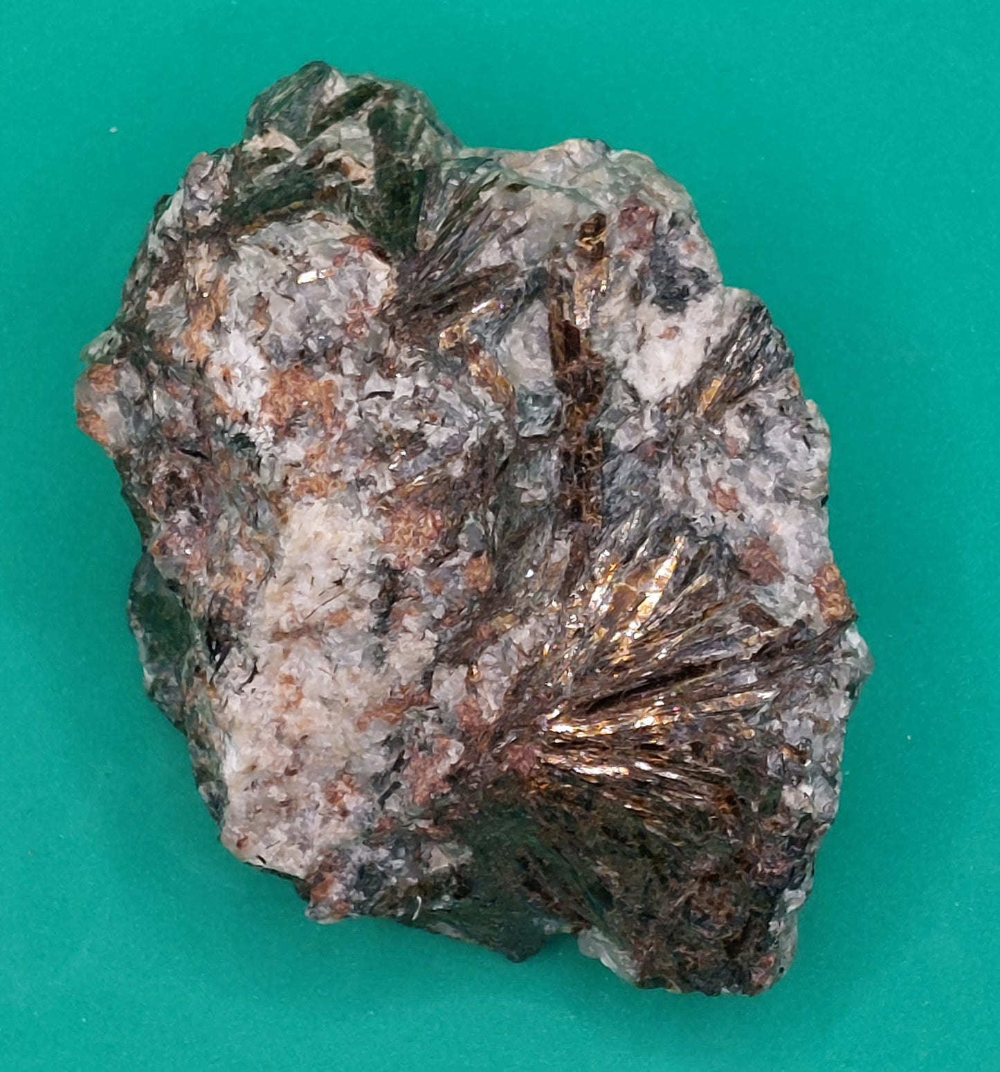Astrophylite