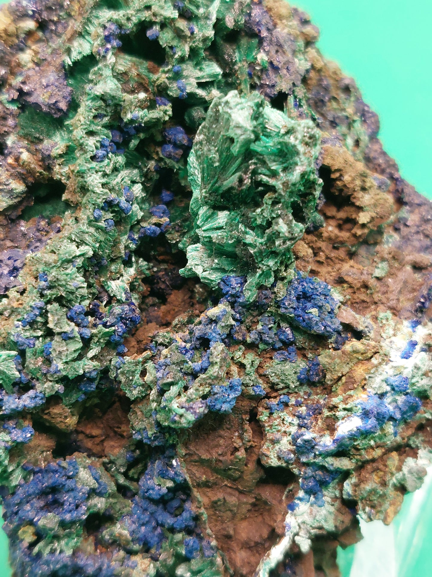 Azurite med Malachite
