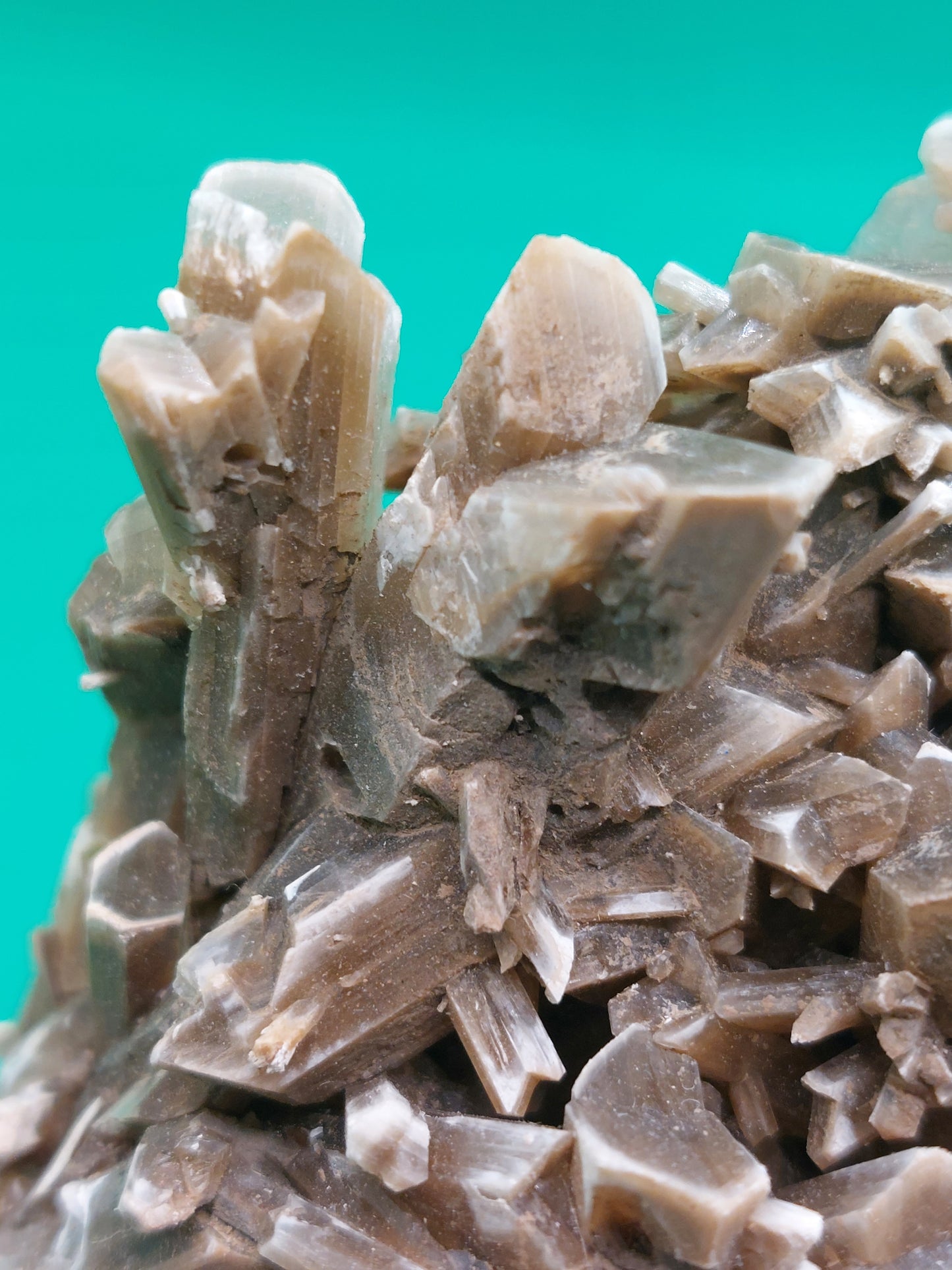 Gypsum
