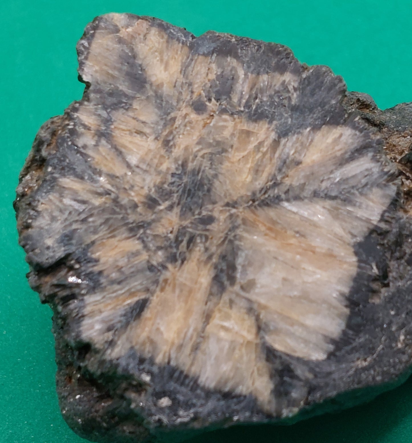 Chiastolite