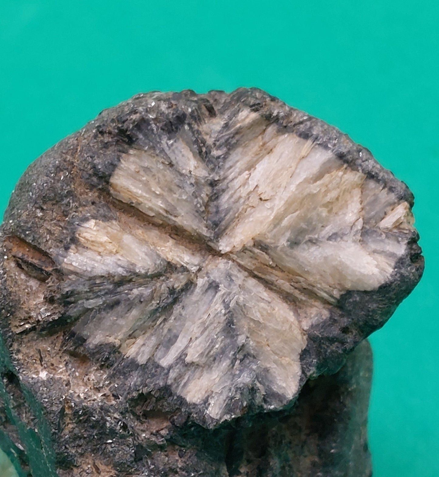 Chiastolite