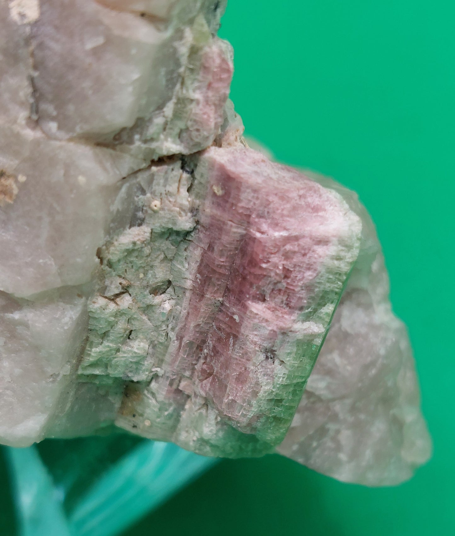 Watermelon Tourmaline in Quartz