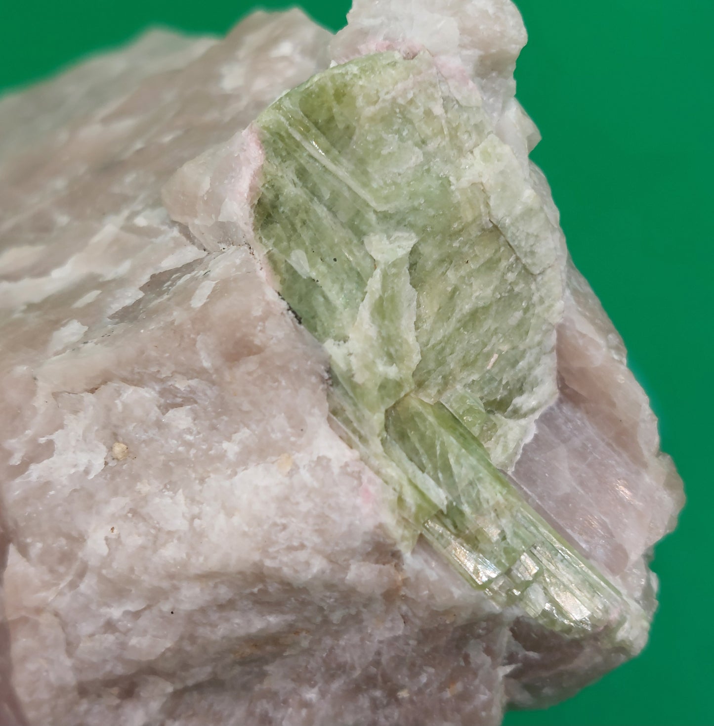 Watermelon Tourmaline in Quartz