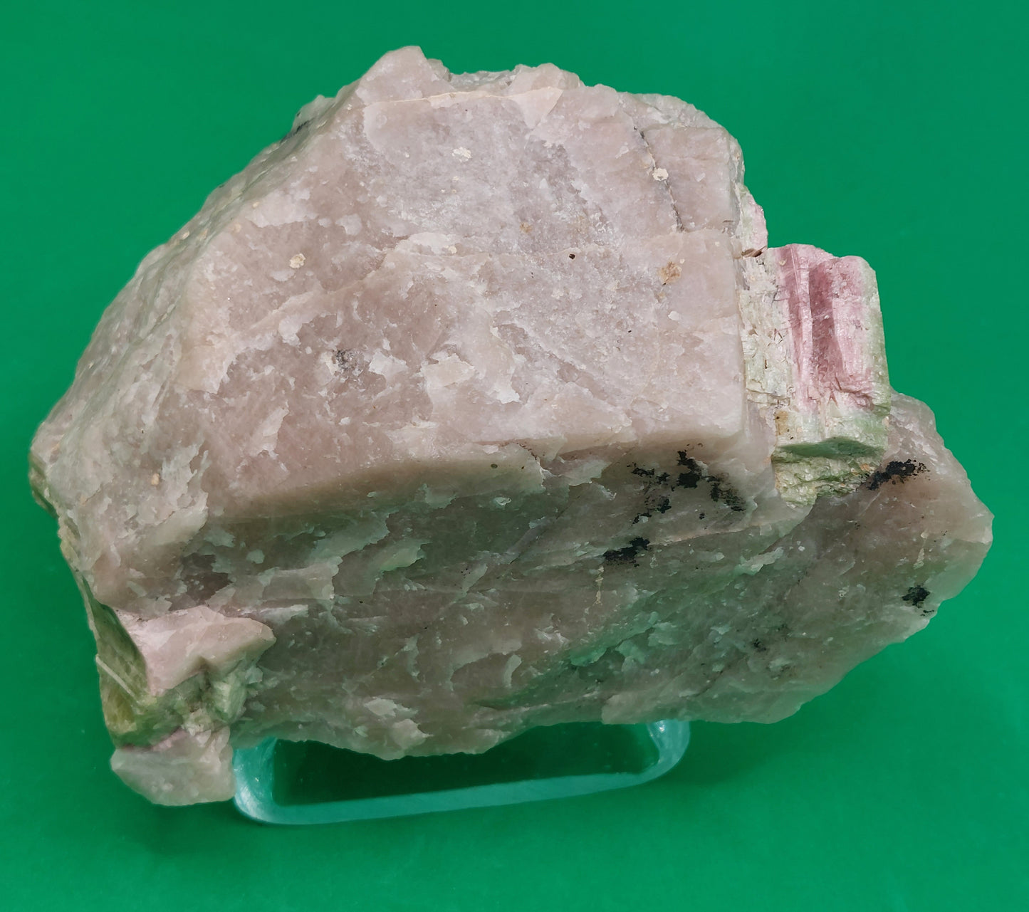 Watermelon Tourmaline in Quartz