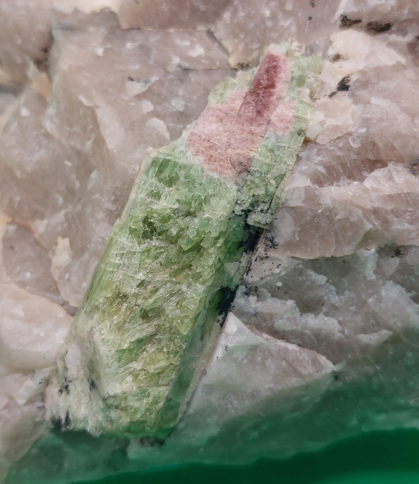 Watermelon Tourmaline in Quartz
