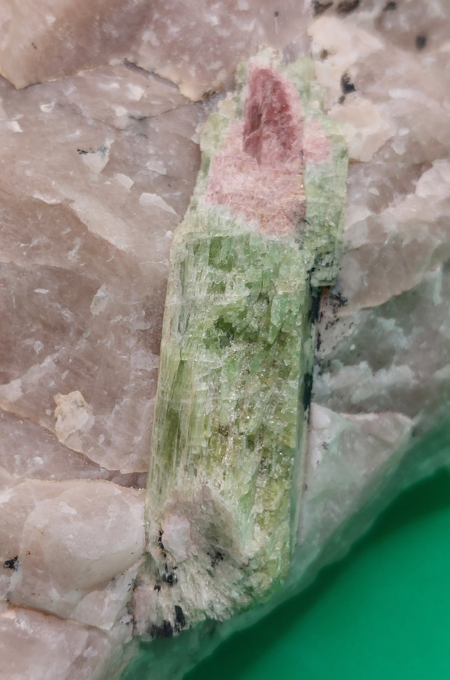 Watermelon Tourmaline in Quartz