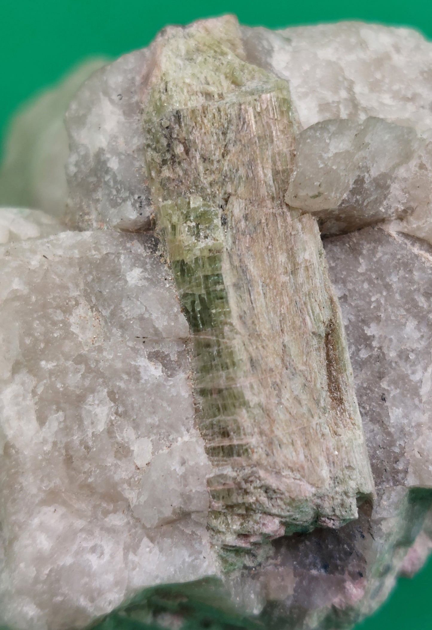 Watermelon Tourmaline in Quartz