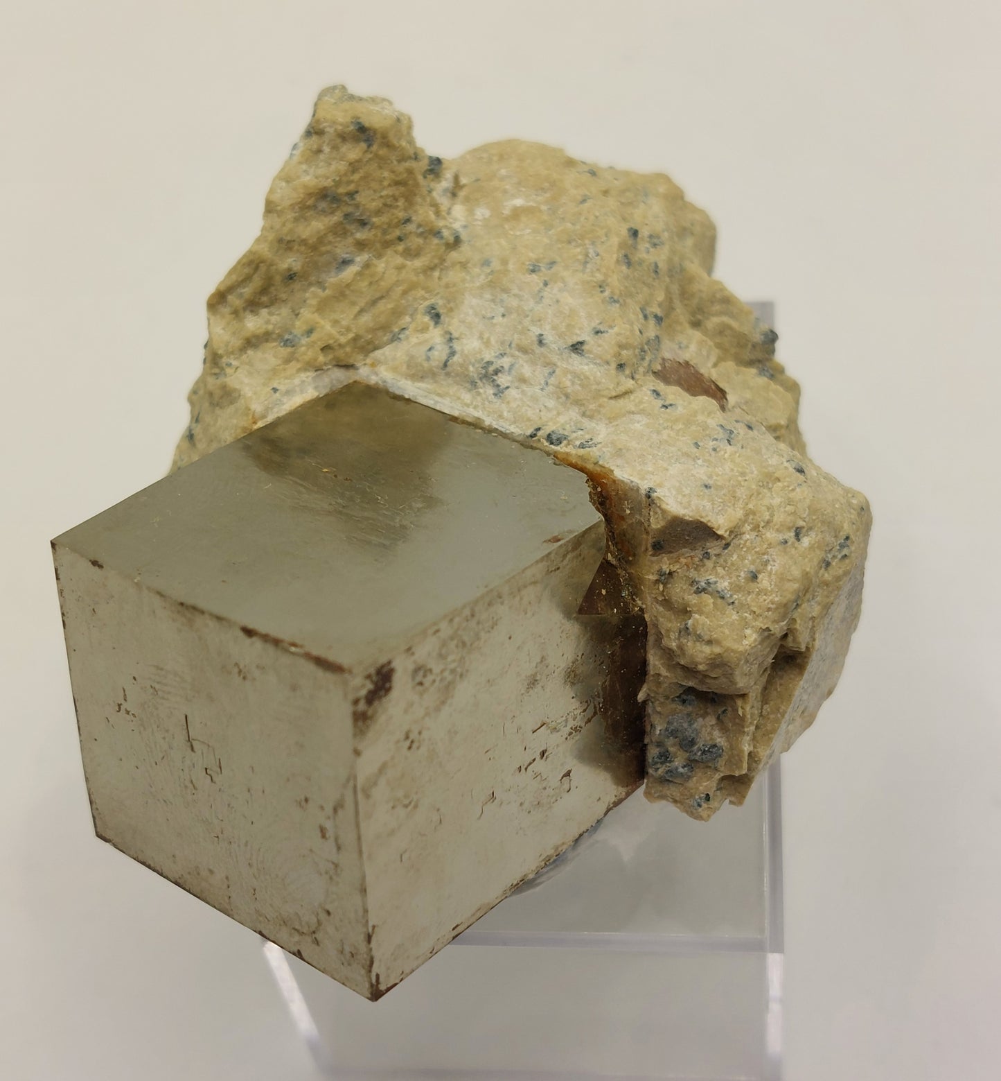 Pyrite in matrix