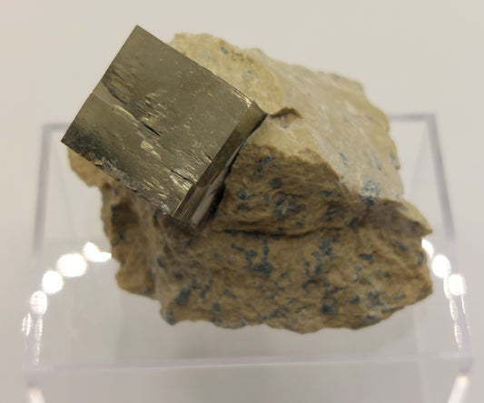 Pyrite in matrix