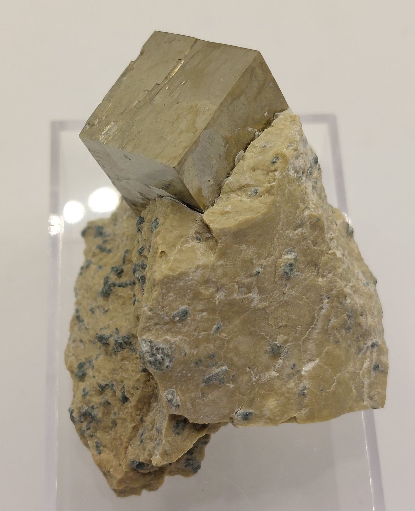 Pyrite in matrix