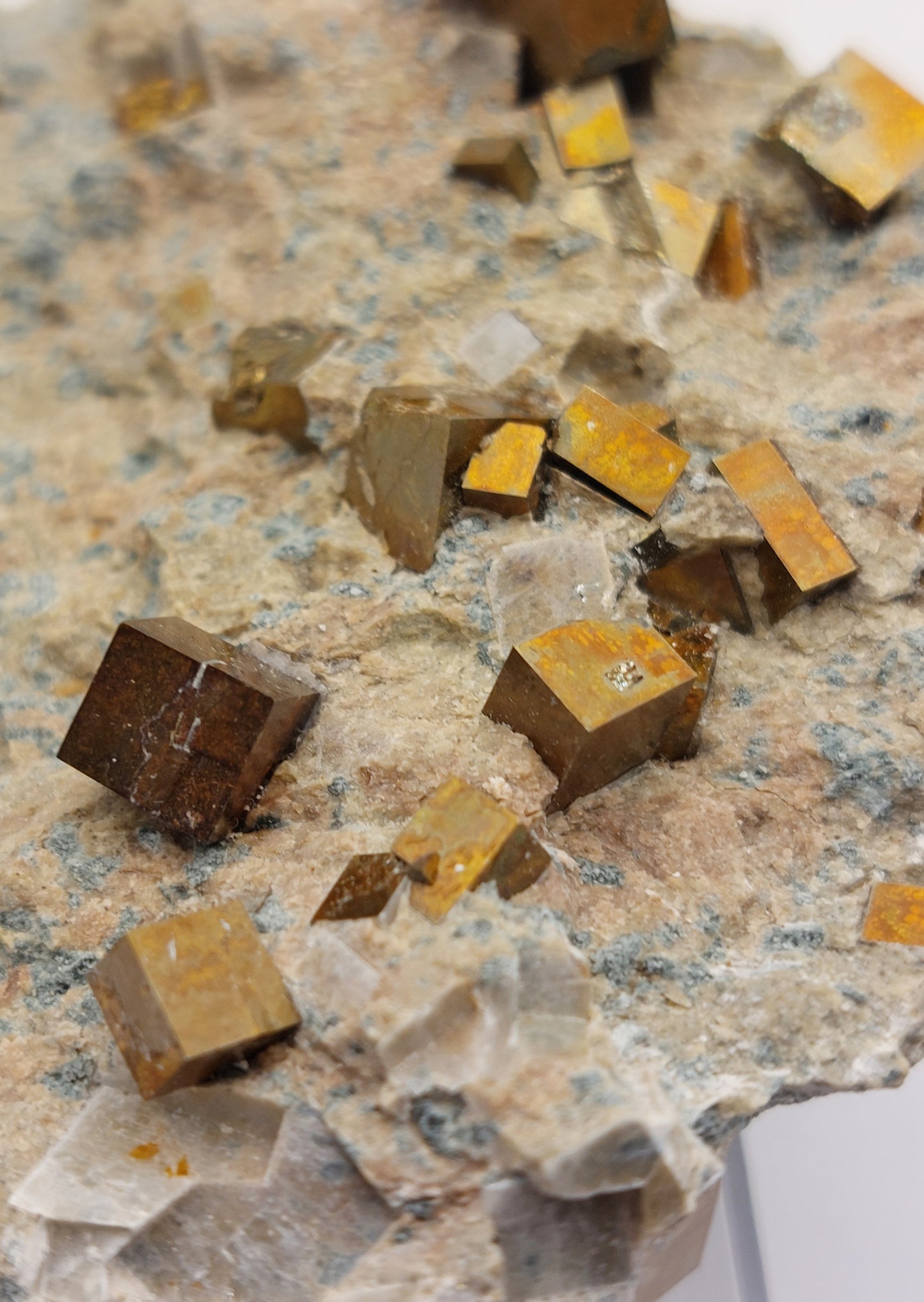 Pyrite in matrix