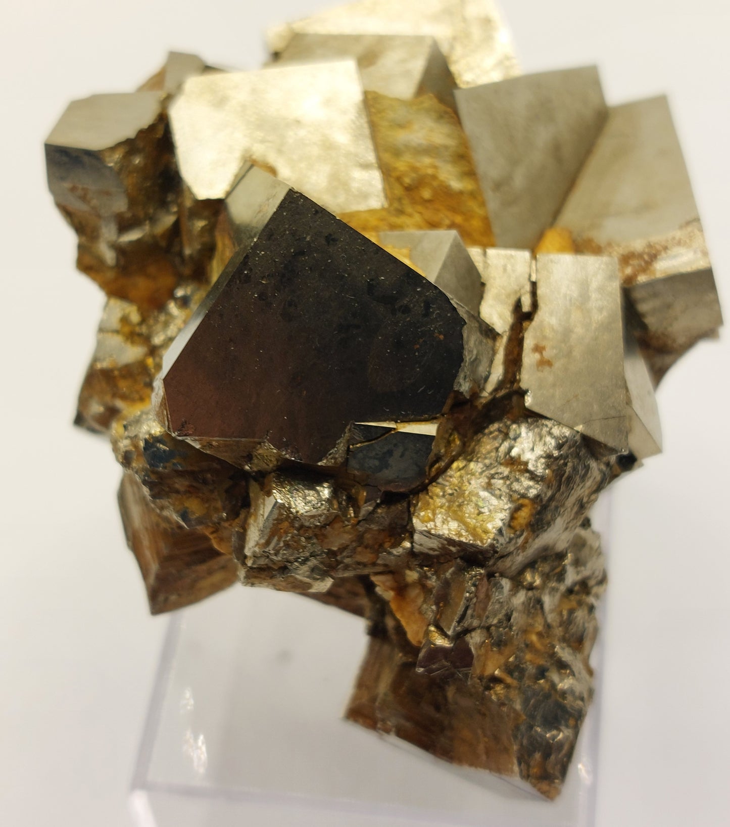 Pyrite specimen cluster