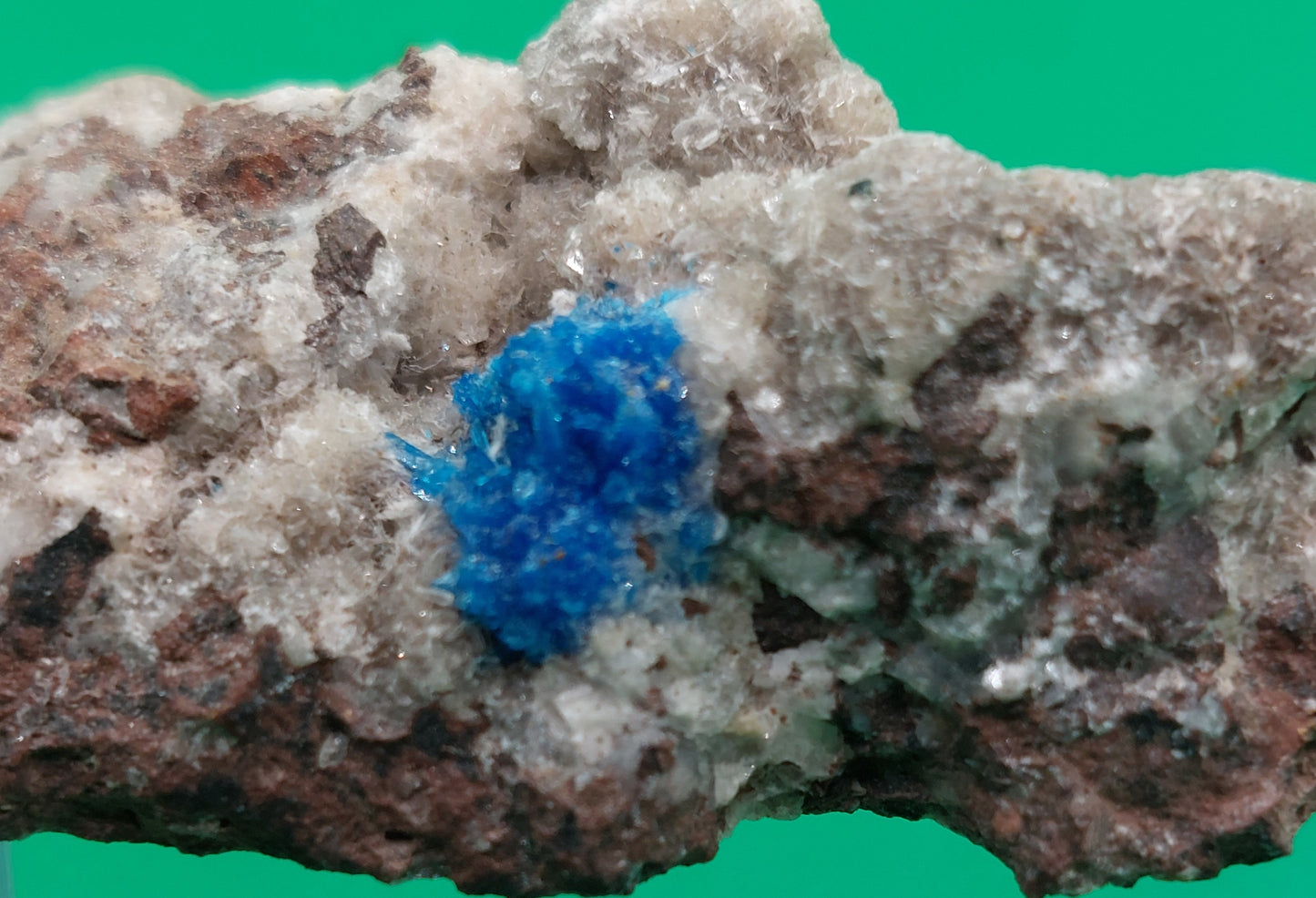 Cavensite on Apophyllite / matrix