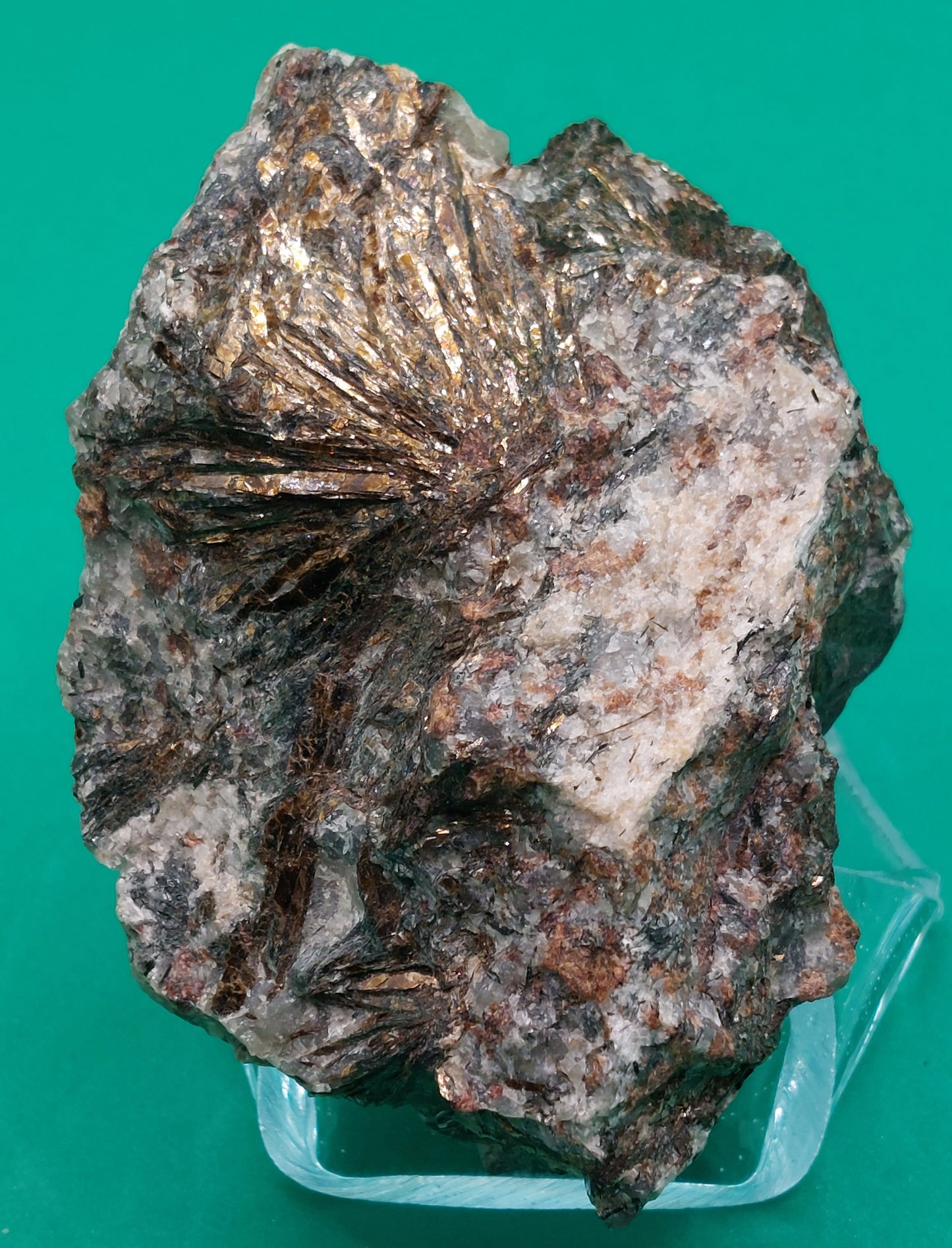 Astrophylite