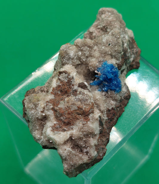 Cavensite on Apophyllite / matrix